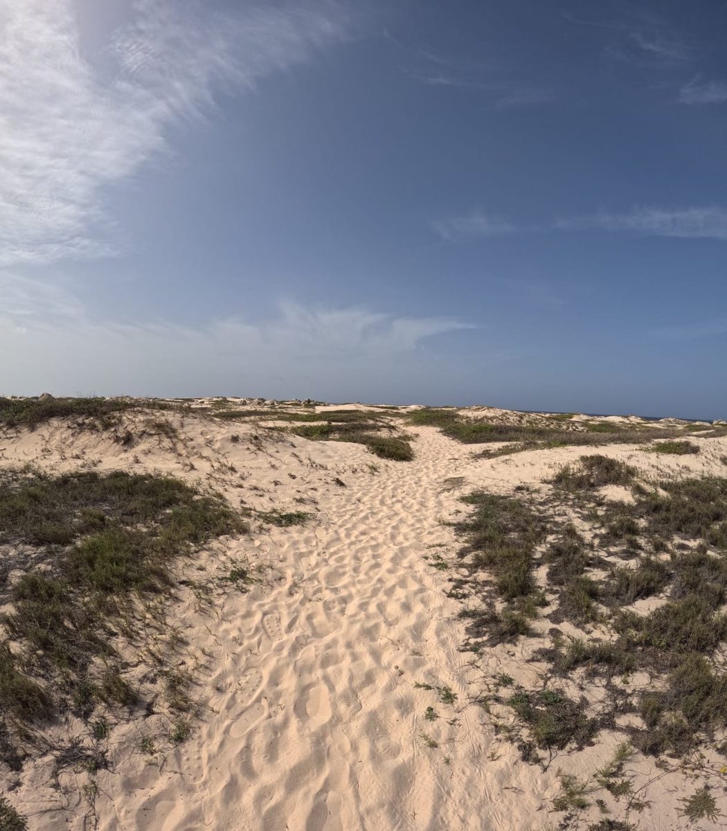 Arashi white dunes