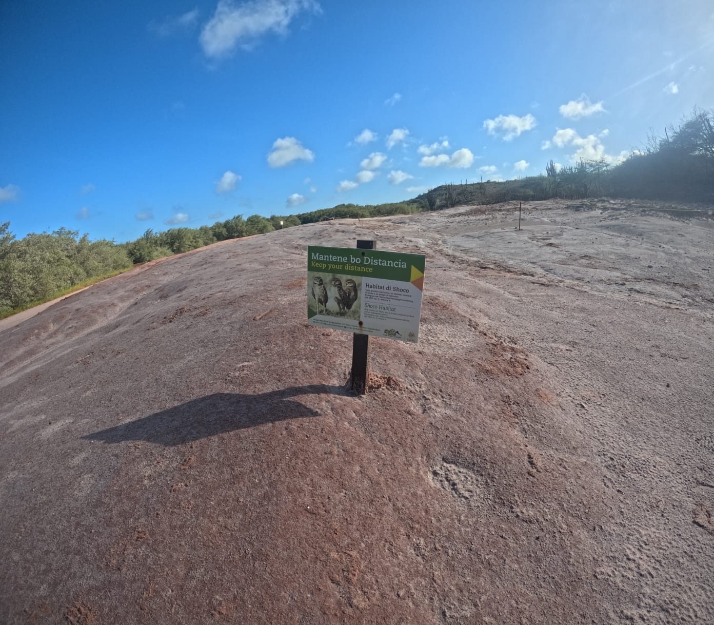 Trail to the Top