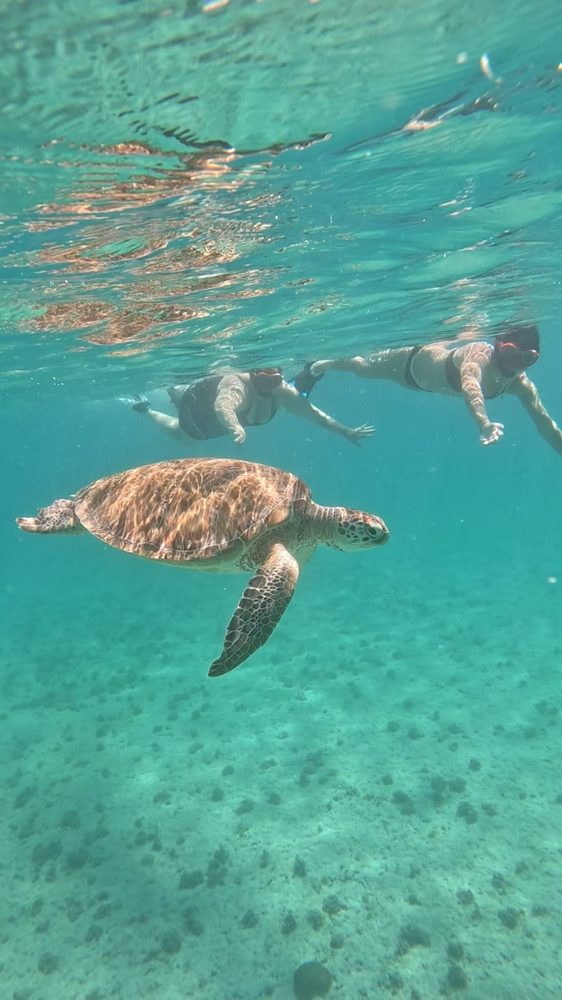 Snorkeling